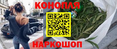 винт Донецк