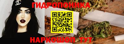 винт Донецк