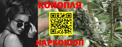 прущие крисы Дубна