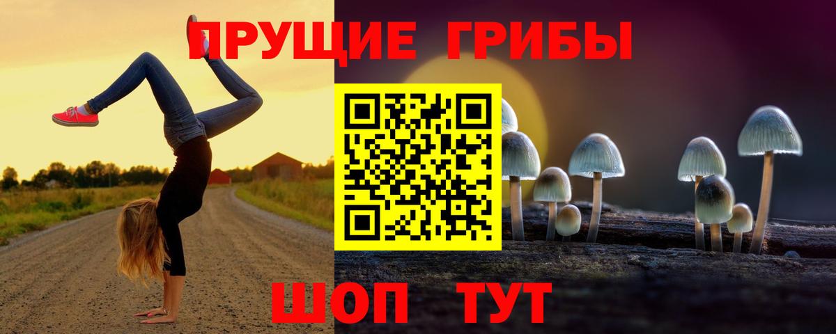 Междуреченск  Галлюциногенные грибы Magic Shrooms  Вход с VPN 